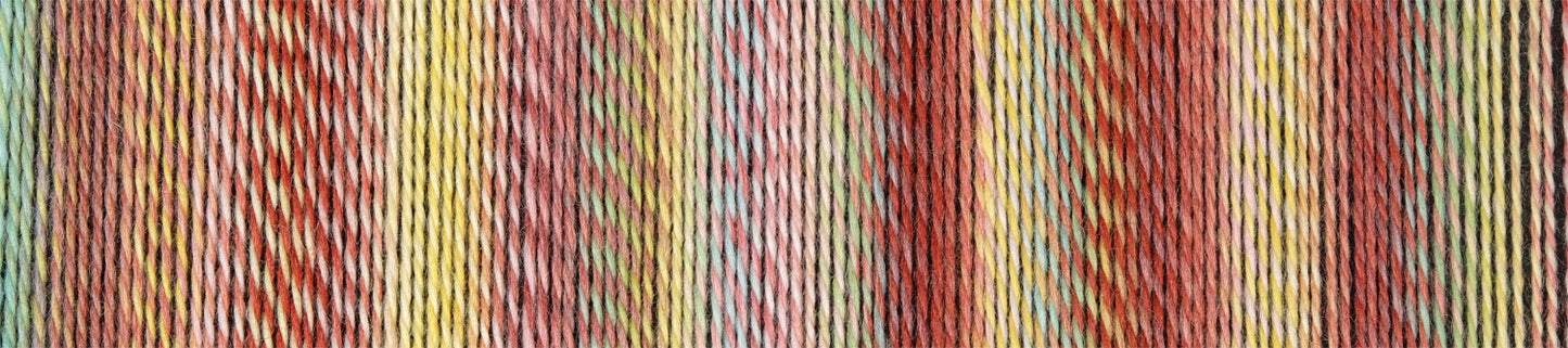 Schoppel Wolle Zauberball Stärke 6 - Early Autumn by Kieran Foley