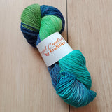 Aquarium - No nylon sock