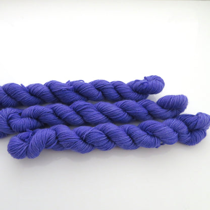 Bluebell - Smooth Sock Kitten