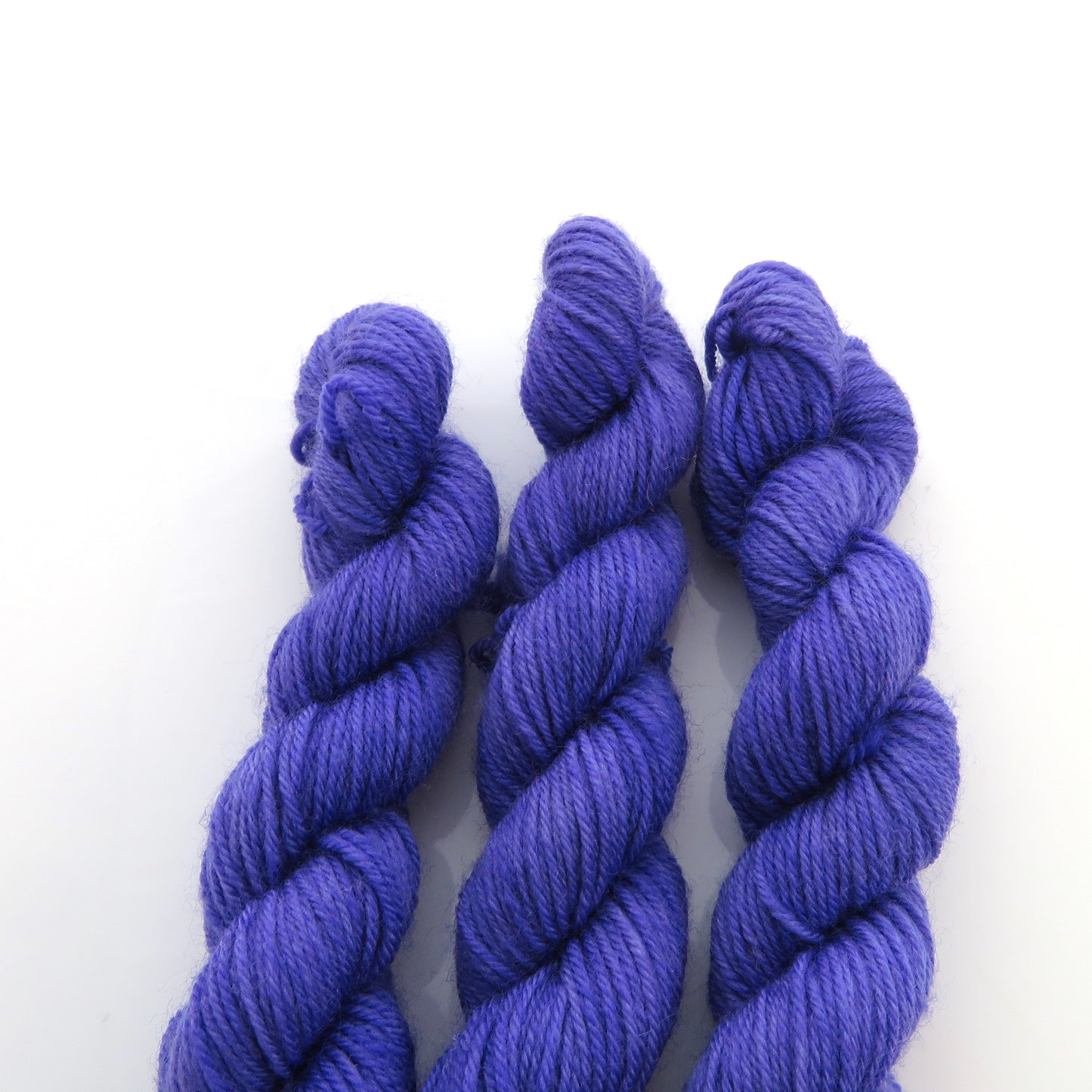 Bluebell - Smooth Sock Kitten