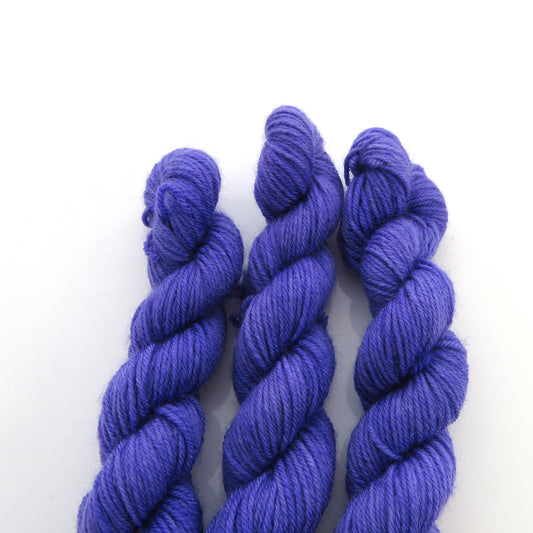 Bluebell - Smooth Sock Kitten