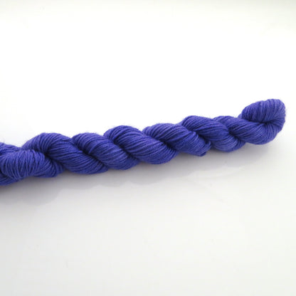 Bluebell - Smooth Sock Kitten