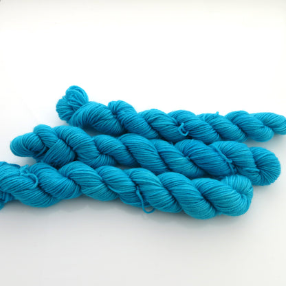 Blue Lagoon - Smooth Sock Kitten