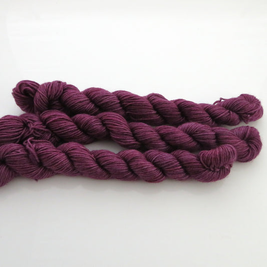 Havran – Smooth Sock Kitten