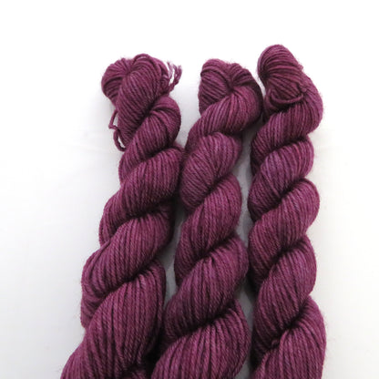 Havran – Smooth Sock Kitten