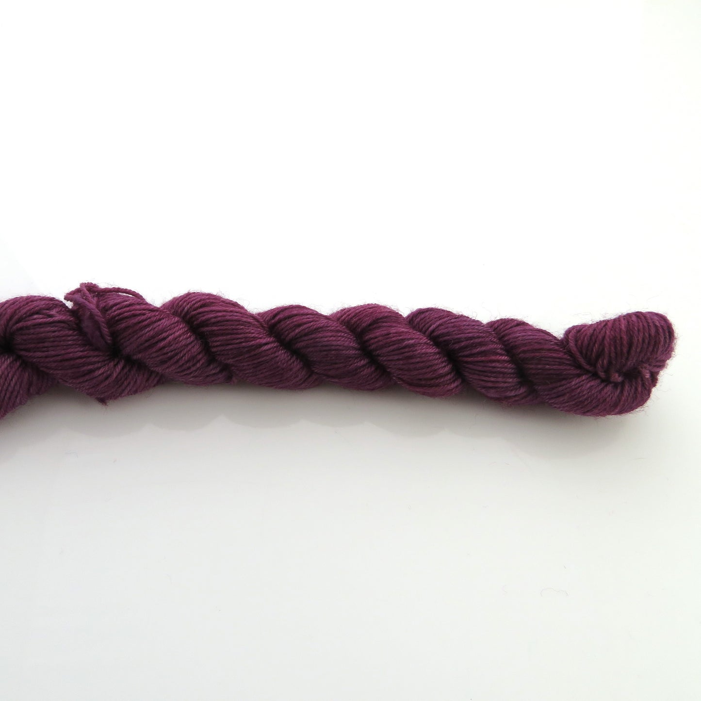 Havran – Smooth Sock Kitten