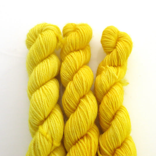 Hellow Yellow - Smooth Sock Kitten