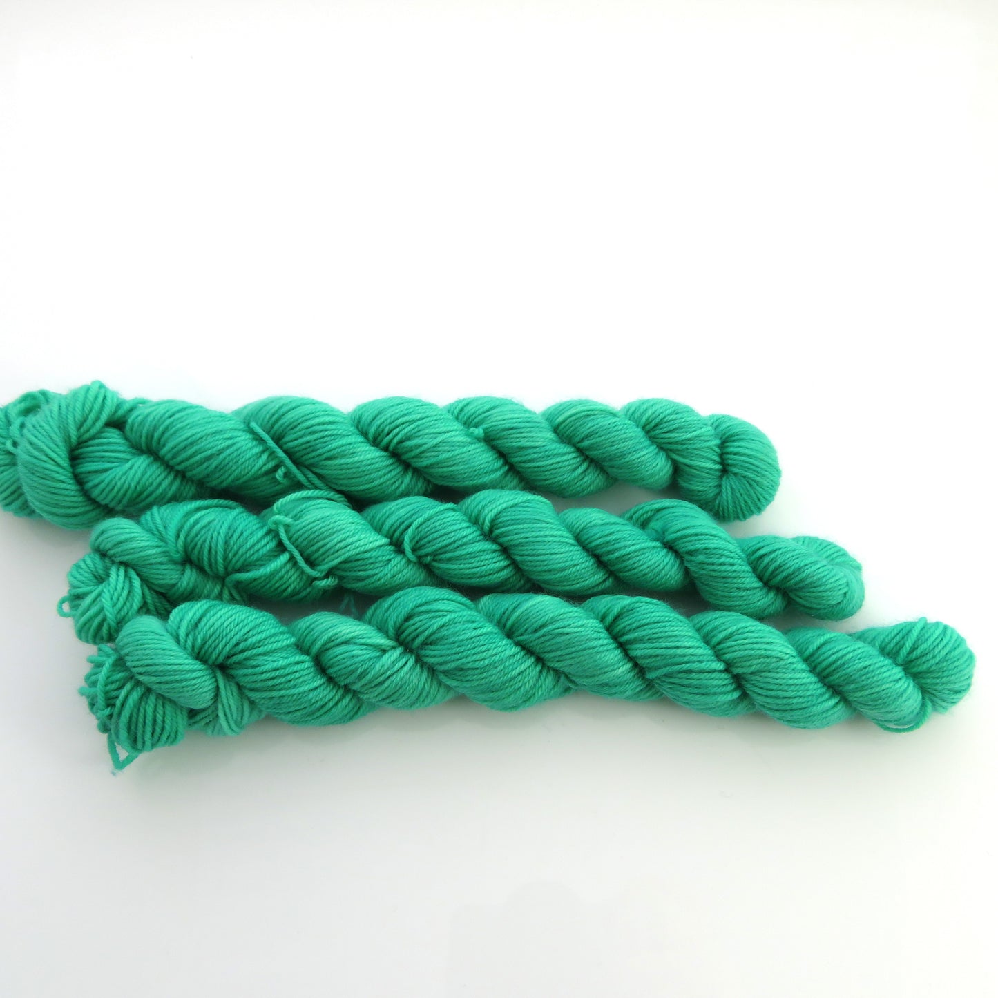 Honeycreeper - Smooth Sock Kitten