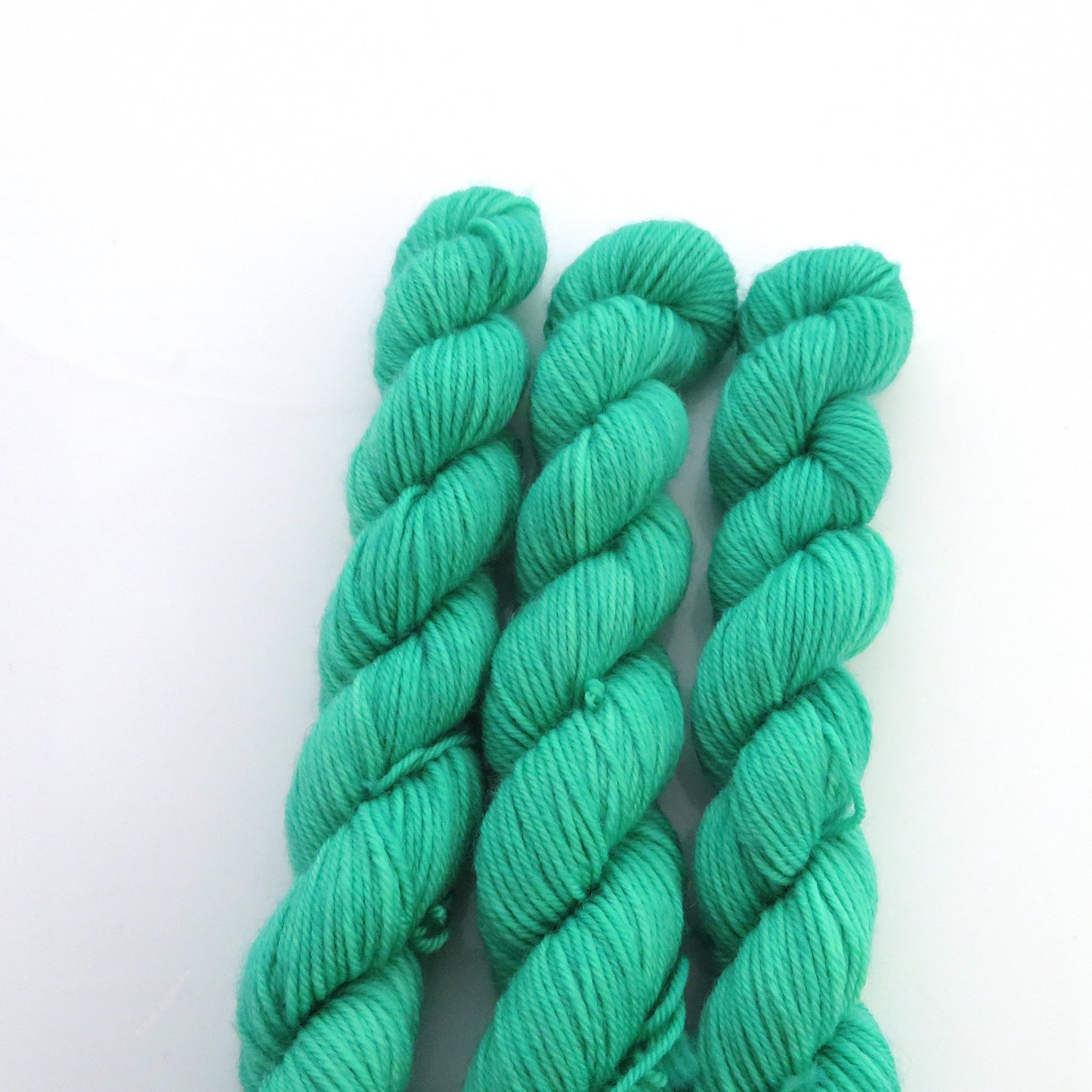 Honeycreeper - Smooth Sock Kitten