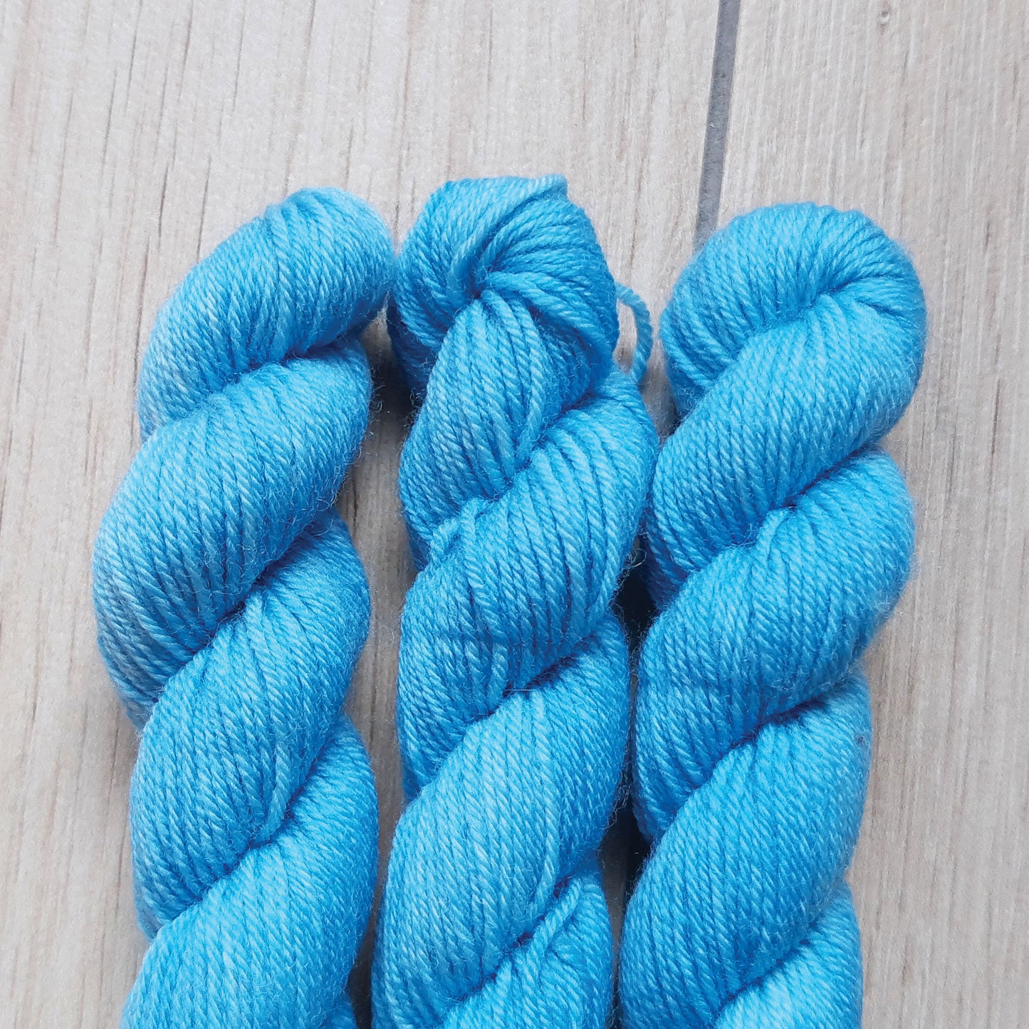 Sea Life - Smooth Sock Kitten
